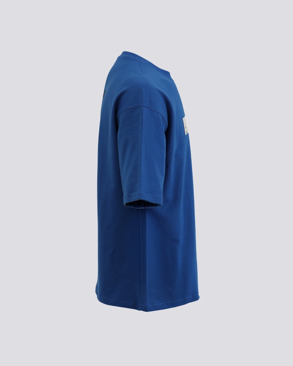 SWANN IN BLUE