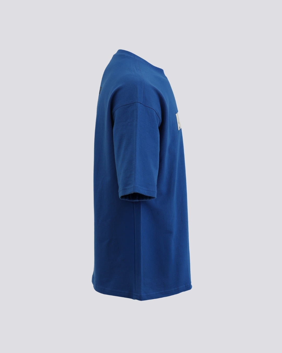 SWANN IN BLUE