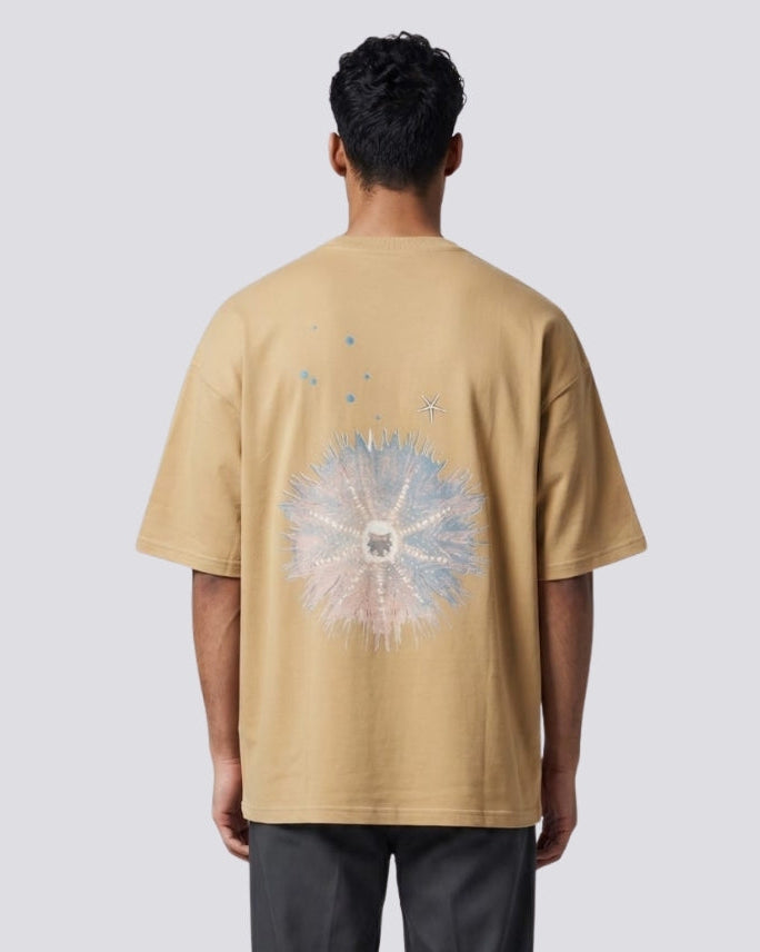 AQUA BEIGE